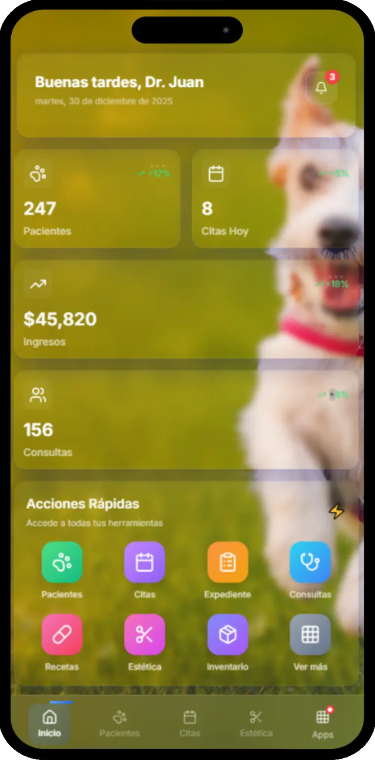 Sistema de citas veterinarias MollyVett - Agenda inteligente para clínicas con recordatorios automáticos